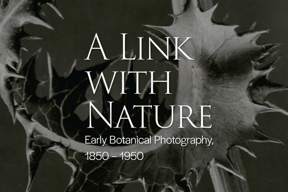 "A Link With Nature: Early Botanical Photography, 1850 – 1950"