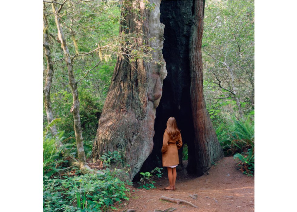 Karin Bubaš, “Woman with Hollowed Tree,” 2016