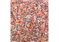 Lorenzo Dupuis, “Tapestry,” 2024