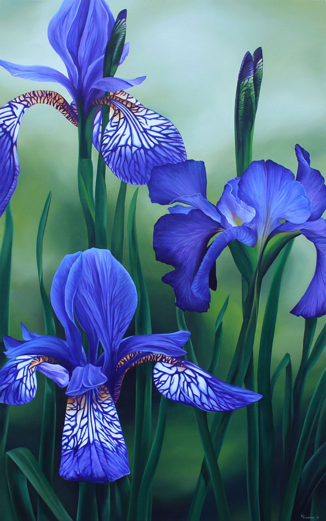 "Wild Irises"