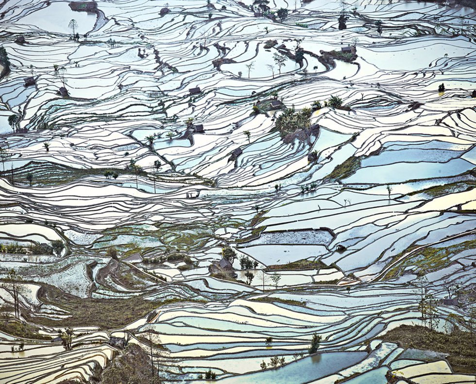 "Rice Terraces, (Laohuzui II), Yunnan, China"