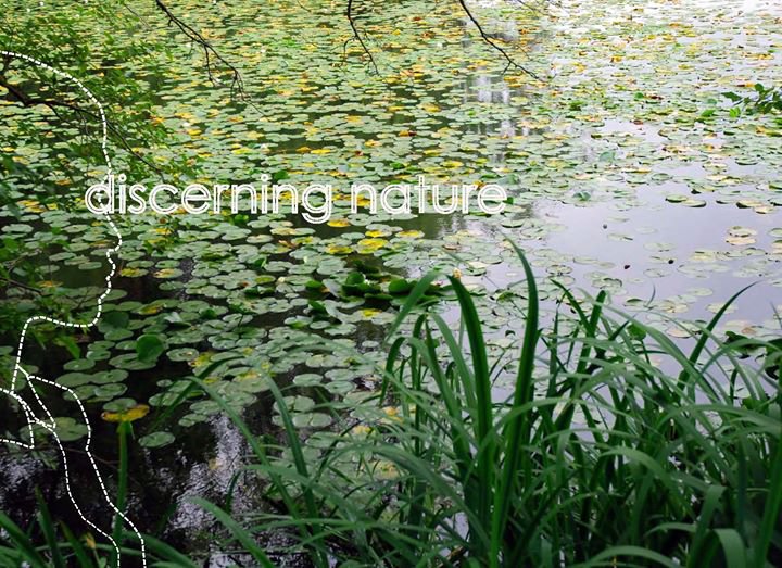 Discerning Nature