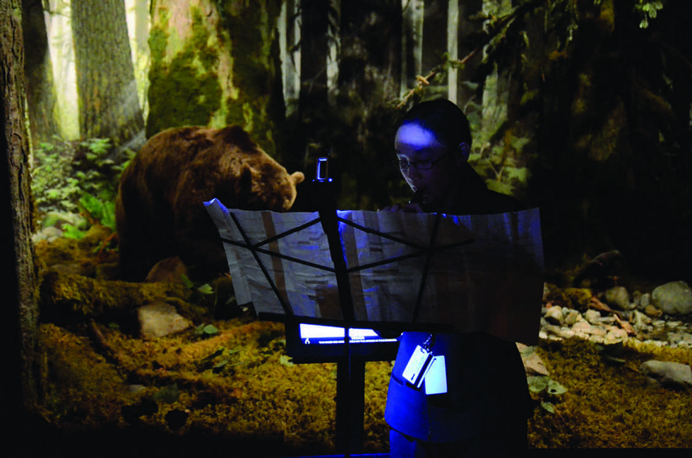 Julia Zhu performs "The Elk Concerto" as part of Music for Natural History, 2012, a performative sound installation at the Royal BC Museum in Victoria