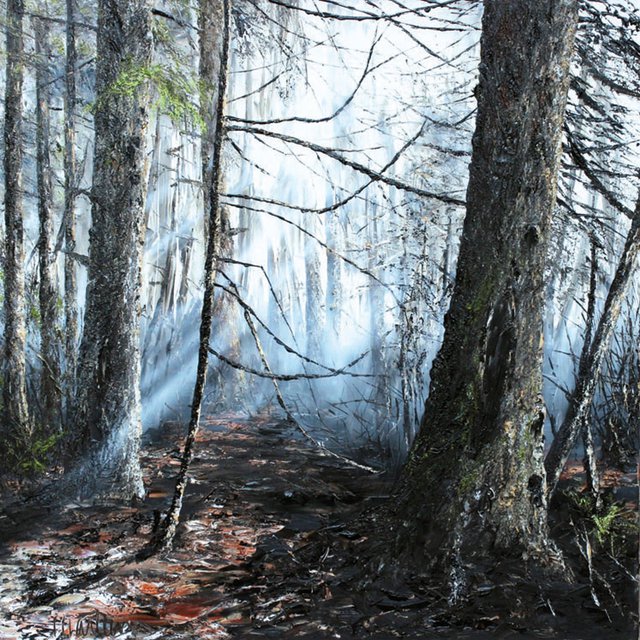 Marleen Vermeulen, "Mystical Forest," 2015