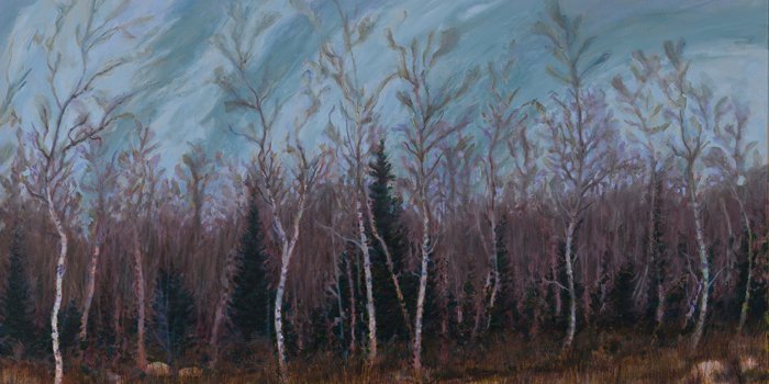 Nicholas Burns, "Beconia Sandbar Willow"
