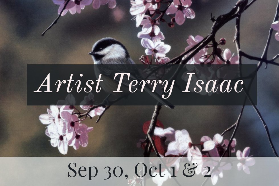 Terry Issac at Picture This!