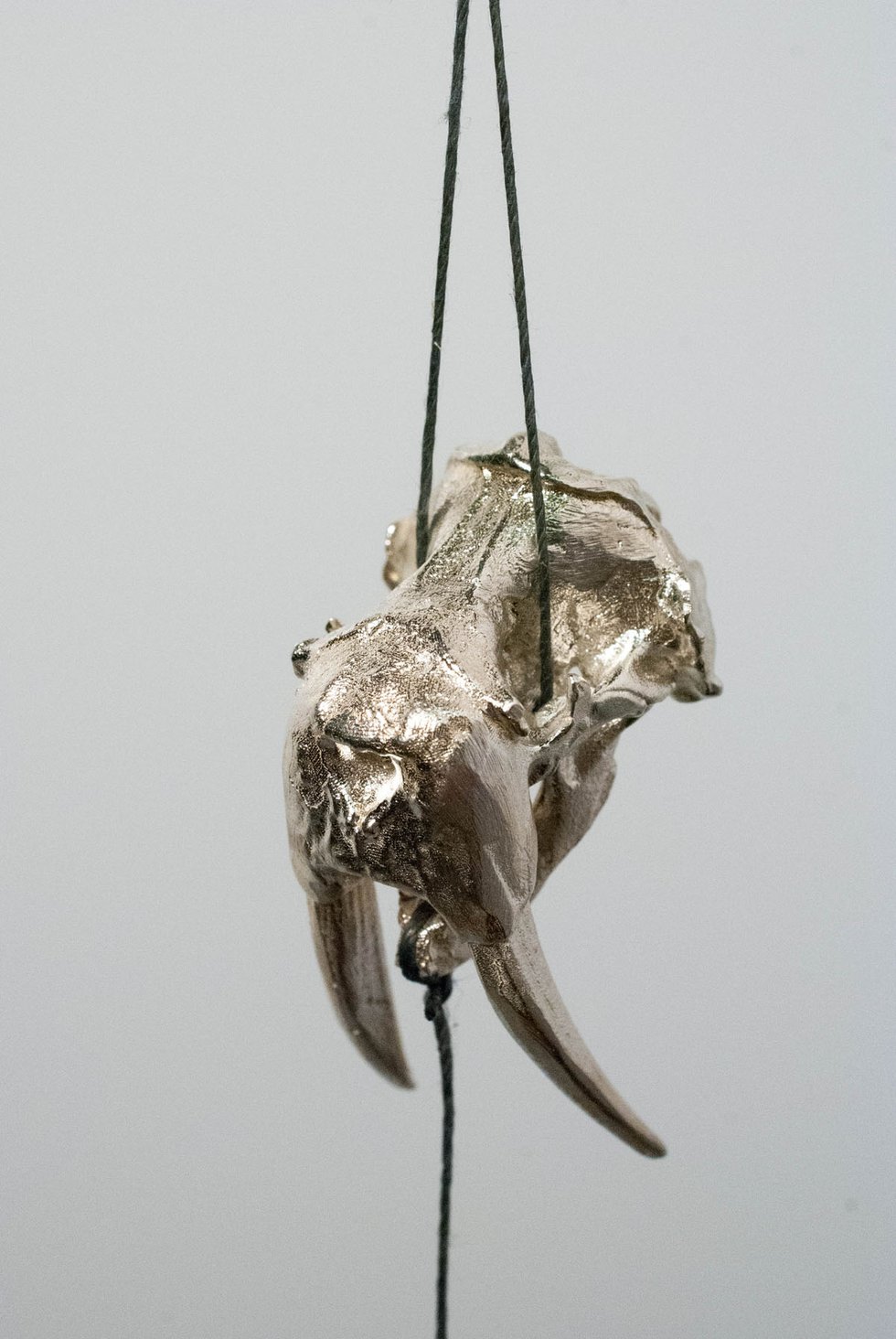 Couzyn van Heuvelen, "Walrus Lure," 2015,