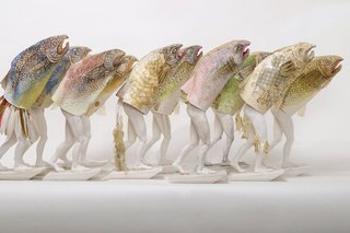 Pilar Mehlis, "Antrofish," 2016