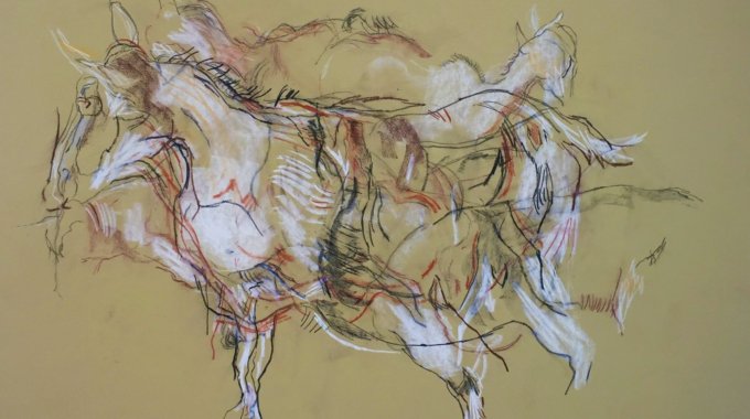 Kipling, Ann, "Goat Drawing," 1980