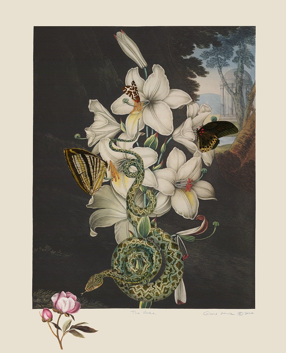 Gloria Mok, “The Rose” (detail), n.d.